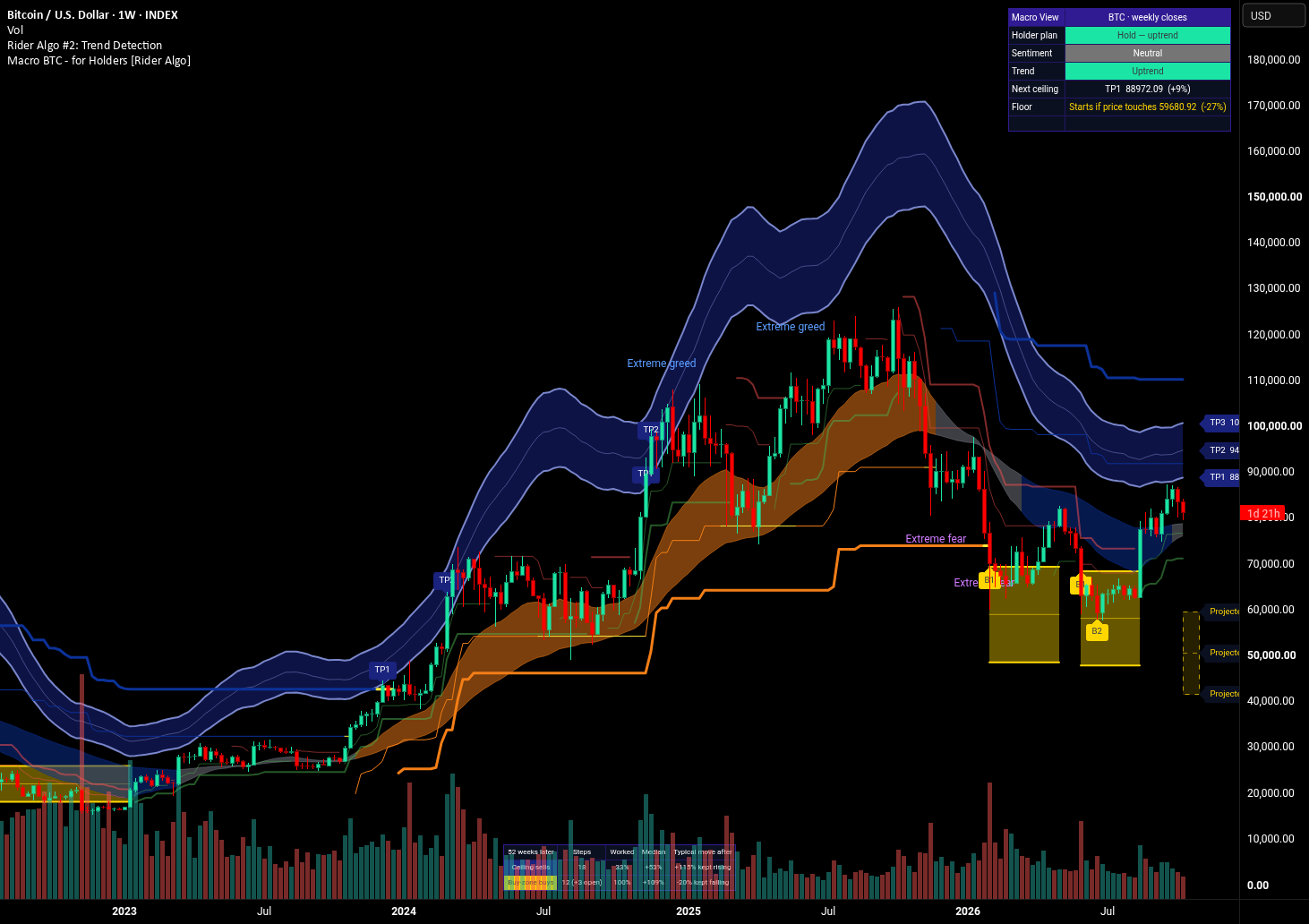 Macro BTC — for Holders on a TradingView chart
